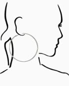 Charming Charlie Classic Thin Hoop Earrings
