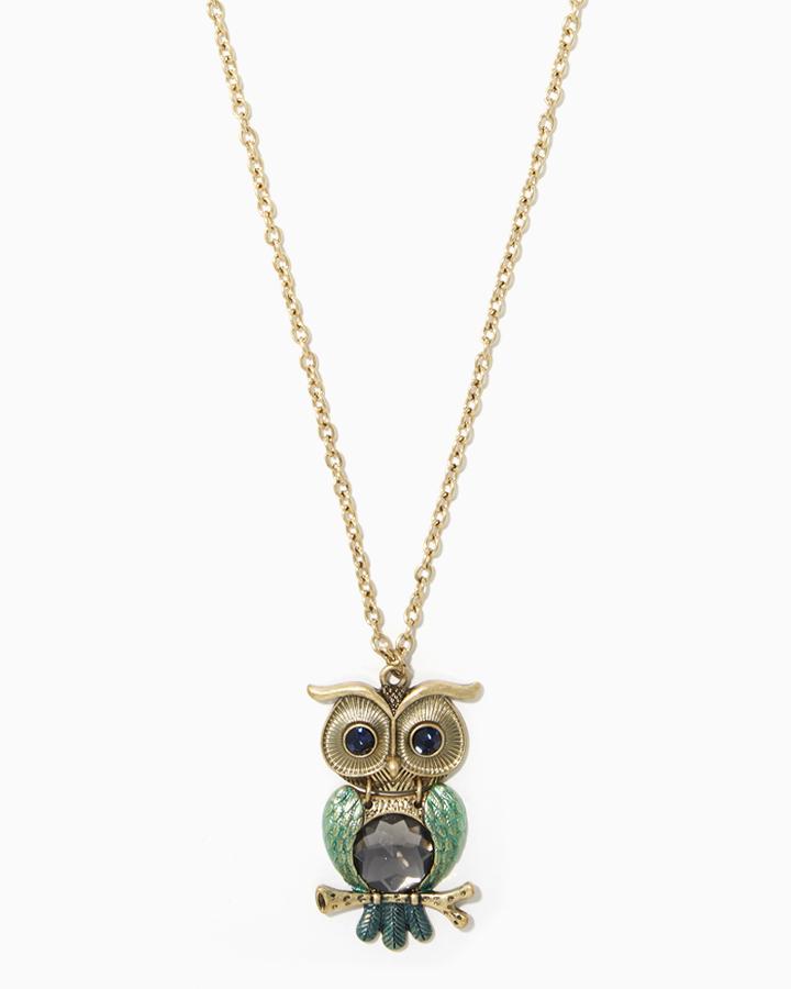 Charming Charlie Owl Eyes Necklace