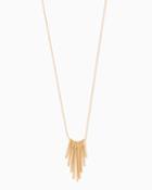 Charming Charlie Graduated Spike Necklace