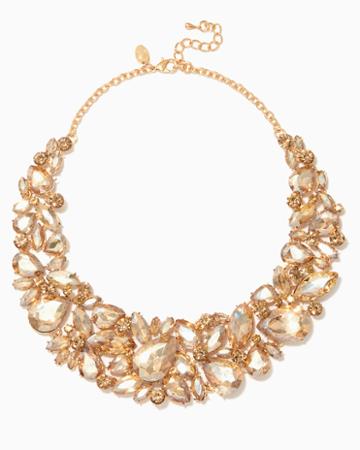 Charming Charlie Naturi Cluster Bib Necklace
