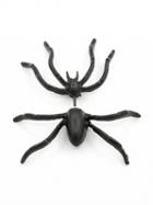 Choies Black Spider Through And Through Single Earring