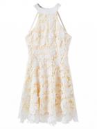 Choies White Halter Backless Overlay Lace Mini Dress