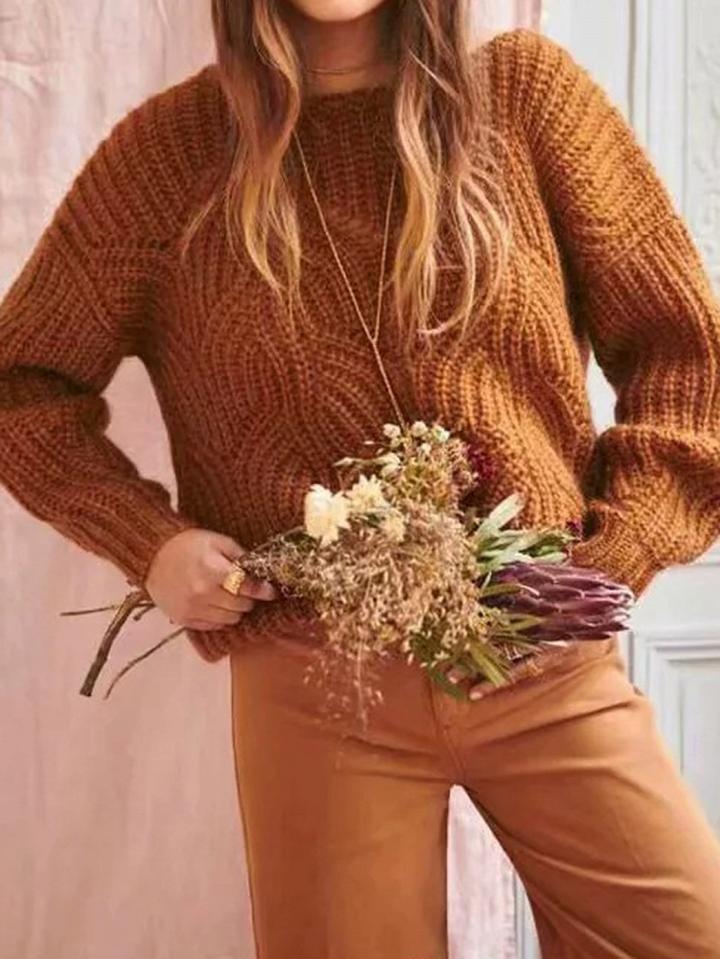 Choies Dark Brown Crew Neck Long Sleeve Women Knit Sweater