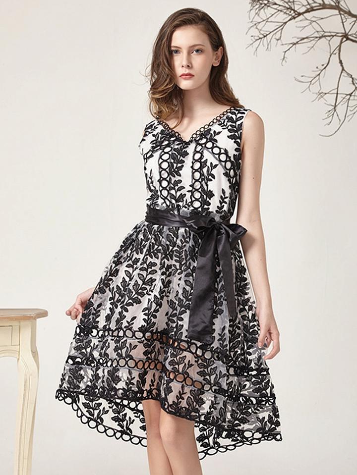 Choies Black V Neck Tie Waist Organza Sleeveless Skater Dress