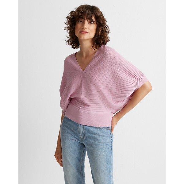 Club Monaco Mauve Dolman Sleeve V-neck Sweater
