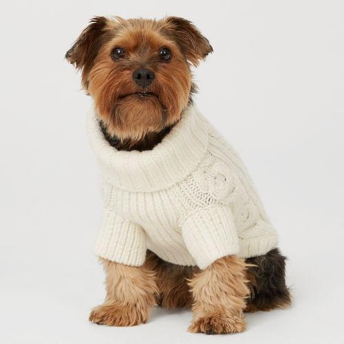 Club Monaco Color White Gwinny Dog Sweater