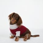 Club Monaco Color Multi Graysohn Dog Sweater