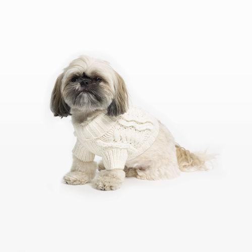 Club Monaco Color White Salecah Dog Sweater