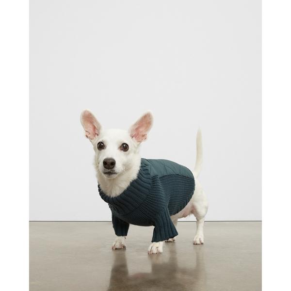 Club Monaco Mixed Media Dog Sweater