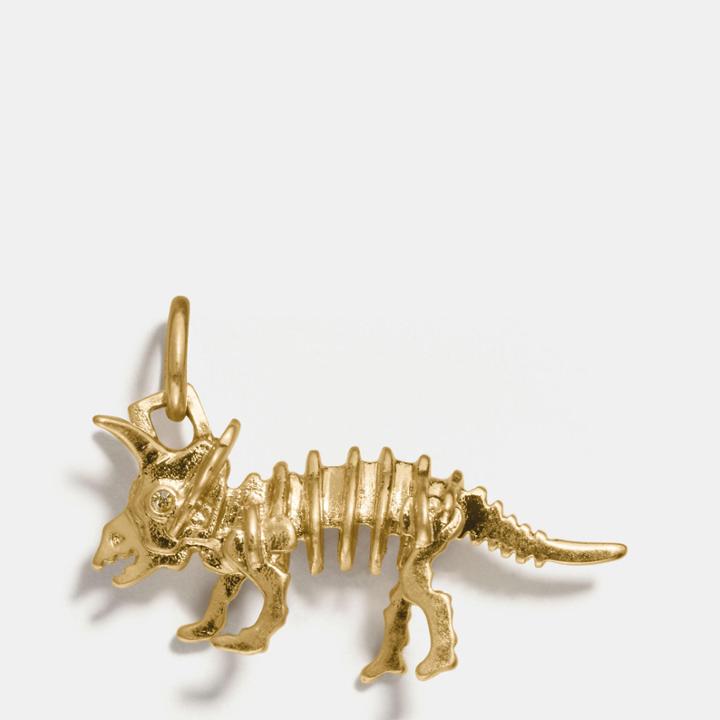 Coach Tricky Charm