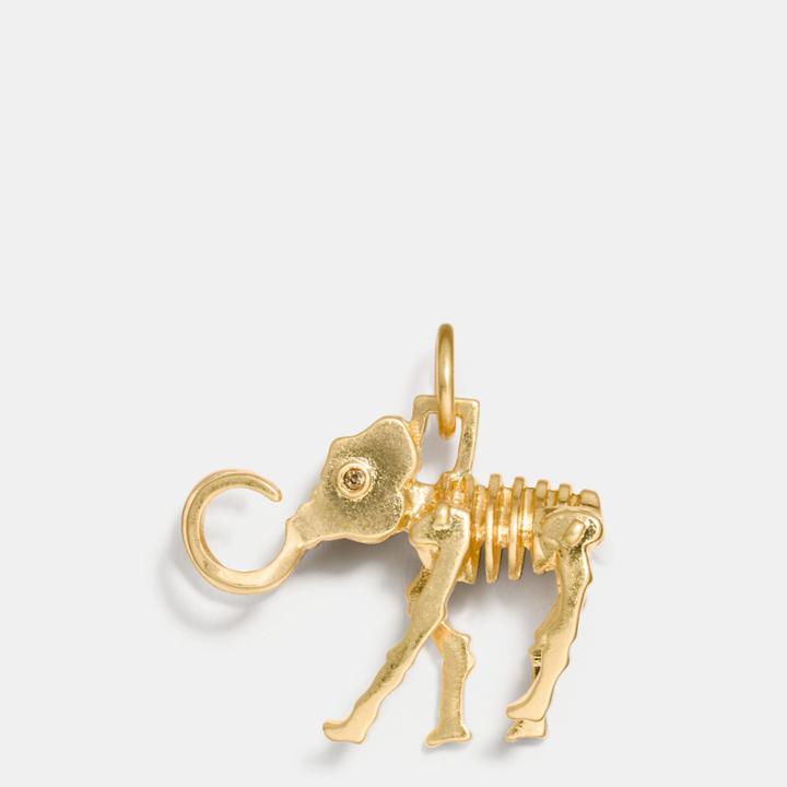 Coach Woolly Charm