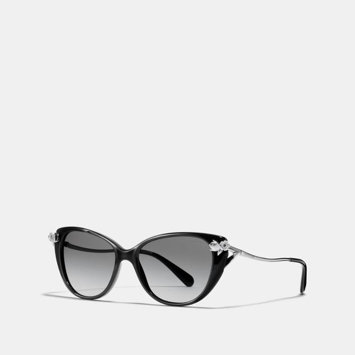 Coach Tea Rose Sunglasses