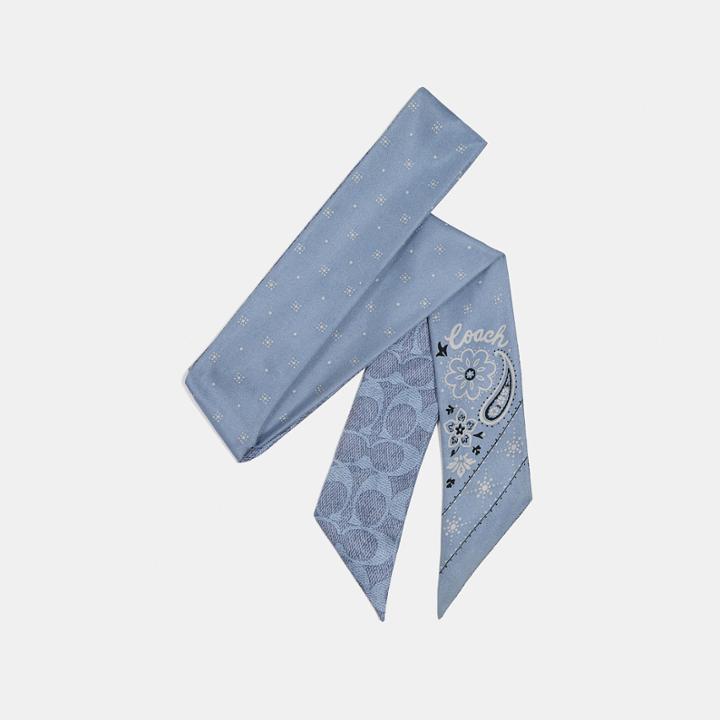 Coach Bandana Print Silk Skinny Scarf