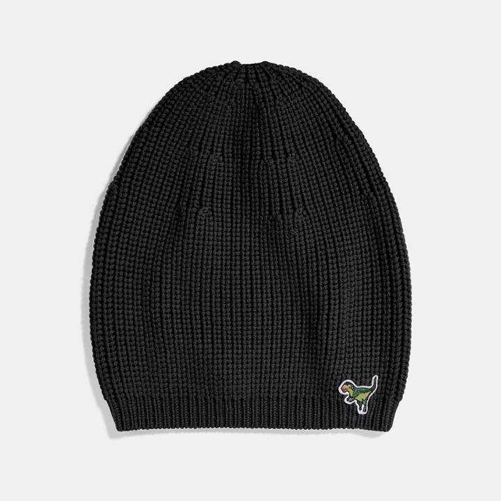 Coach Knit Rexy Hat