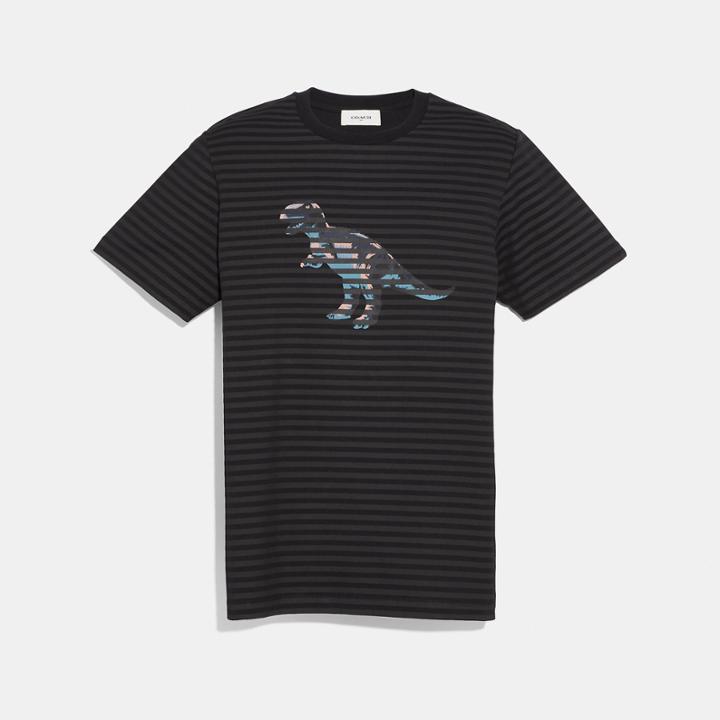 Coach Dinosaur Stripe T-shirt