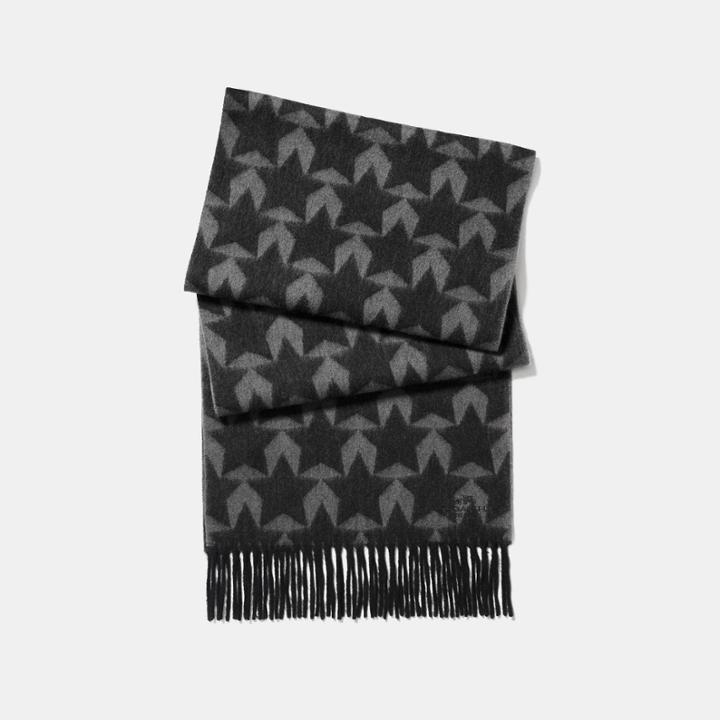 Coach Graphic Star Scarf