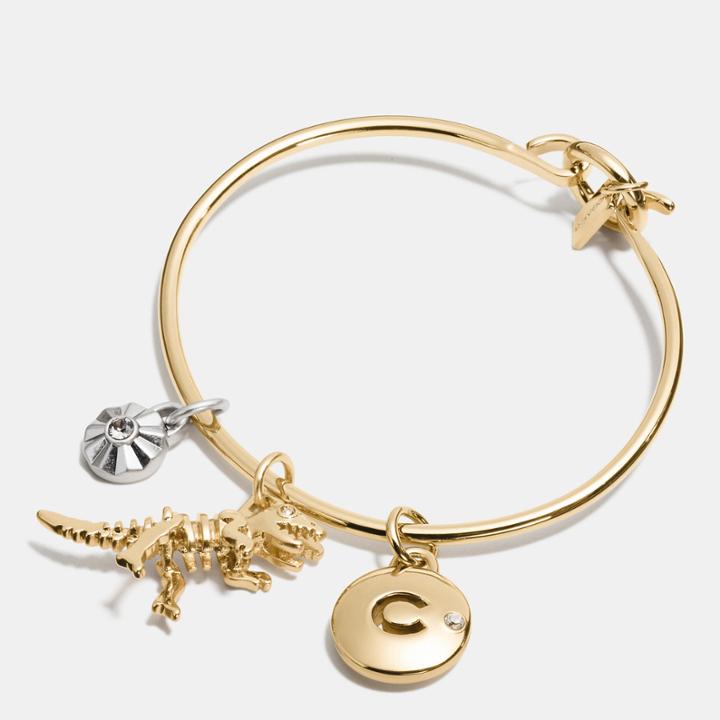 Coach Rexy Disc Hoop Bangle Charm Set