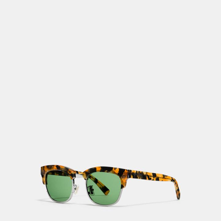 Coach Hawk Sunglasses
