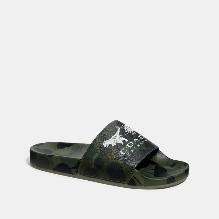 Coach Slide With Wild Beast Print