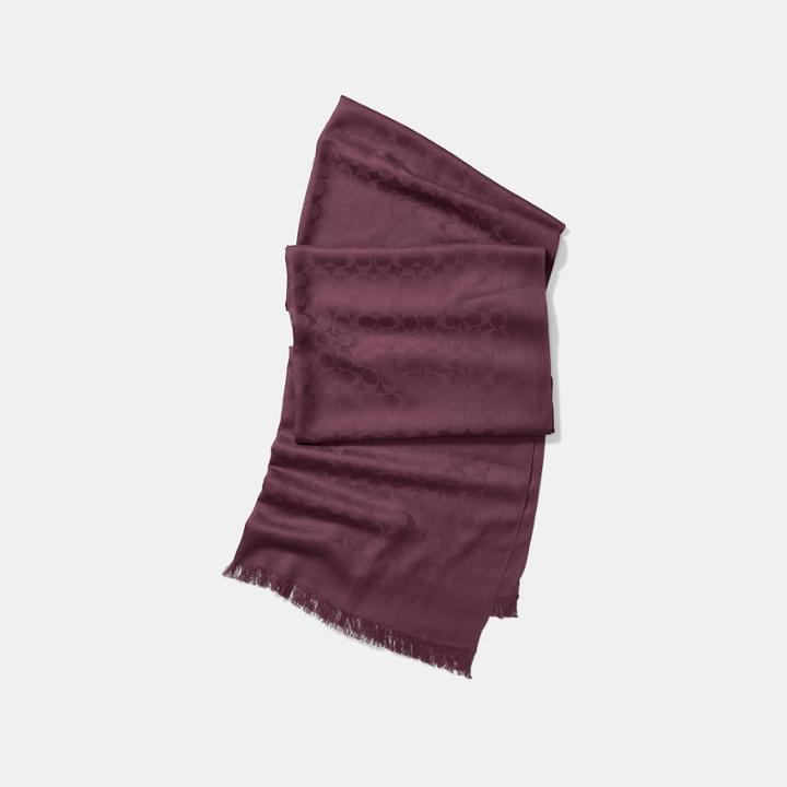 Coach Signature Stole