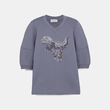 Coach Rexy By Zhu Jingyi Short Sleeve Sweatshirt