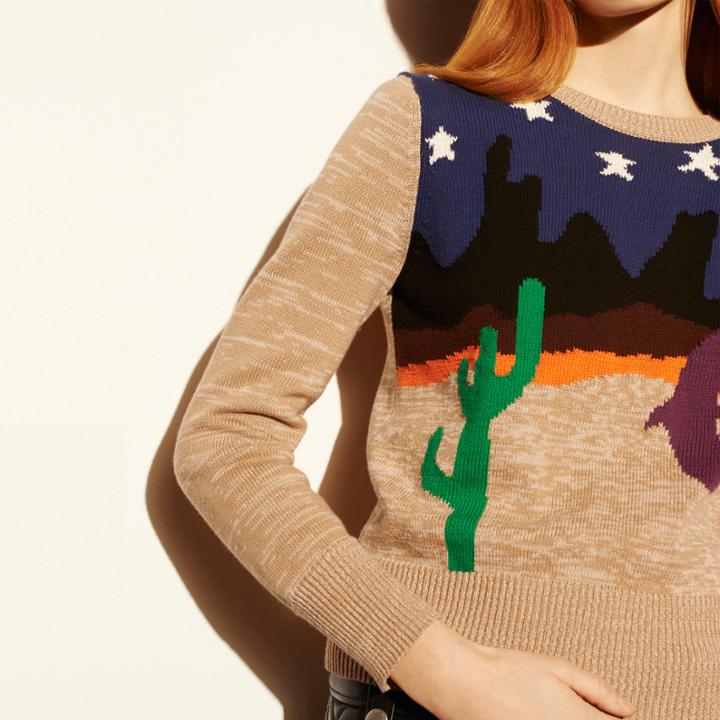 Coach 1941 Desertscape Crewneck Sweater