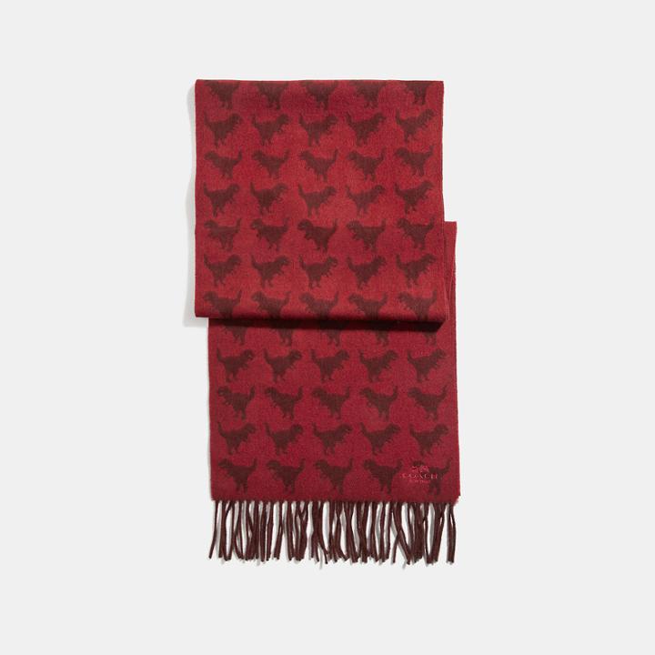 Coach Graphic Rexy Scarf