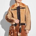 Coach Pieced Shearling Bomber