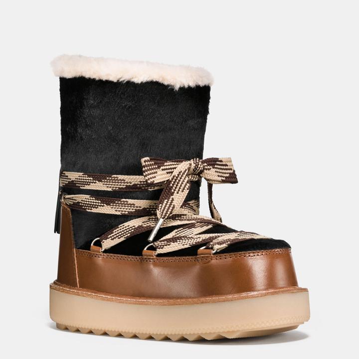 Coach Shearling Bootie In Haircalf