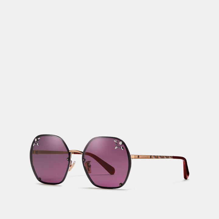 Coach Prairie Rivets Hexagon Sunglasses