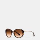 Coach Horse And Carriage Oval Sunglasses