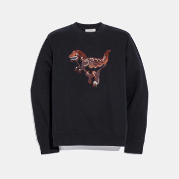 Coach Rexy By Zhu Jingyi Sweatshirt