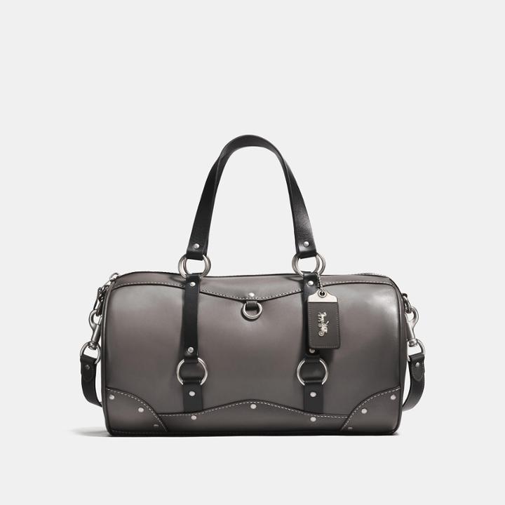 Coach Carryall With Harness Detail