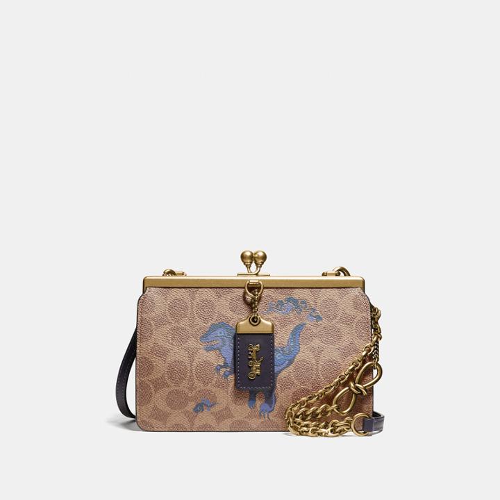 Coach Double Frame Bag 19 In Signature Canvas With Rexy By Zhu Jingyi