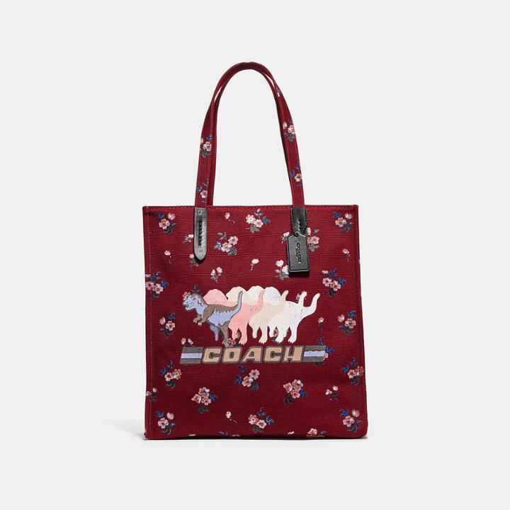 Coach Tote With Shadow Rexy