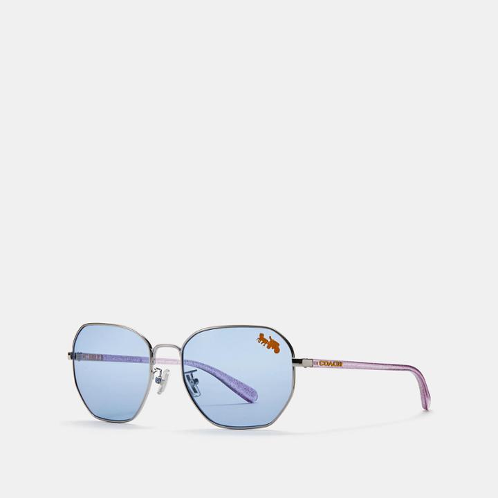 Coach Rexy Sunglasses