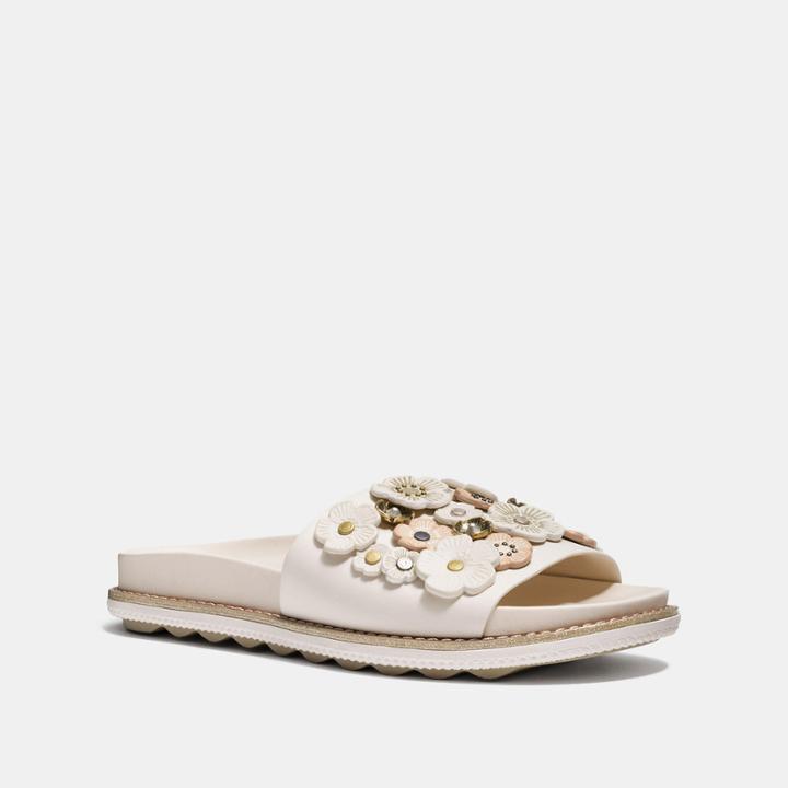 Coach Sport Slide With Tea Rose