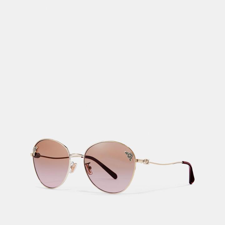 Coach Tea Rose Oval Sunglasses
