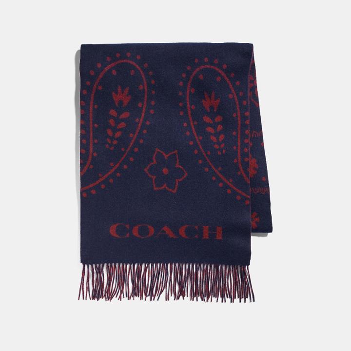Coach Long Skinny Paisley Muffler