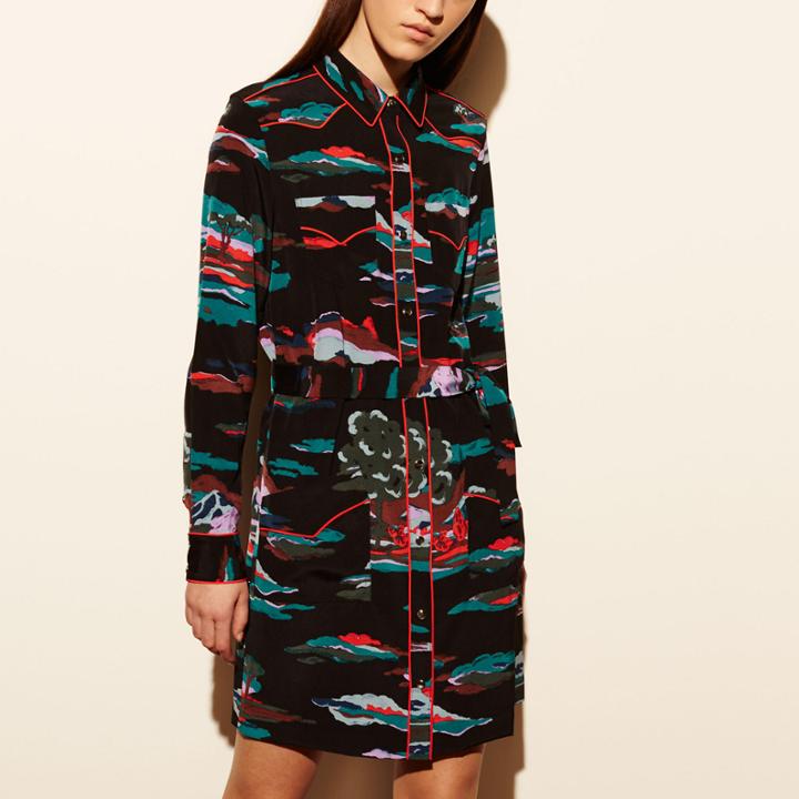 Coach Souvenir Sky Silk Dress