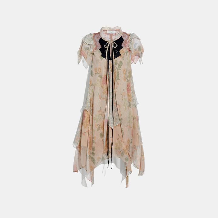 Coach Mini Tiered Dress With Ruffle Sleeve