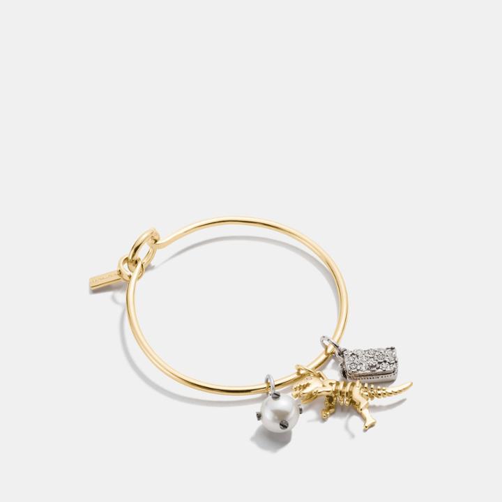 Coach Rexy Charm Collectible Hoop Bangle Set