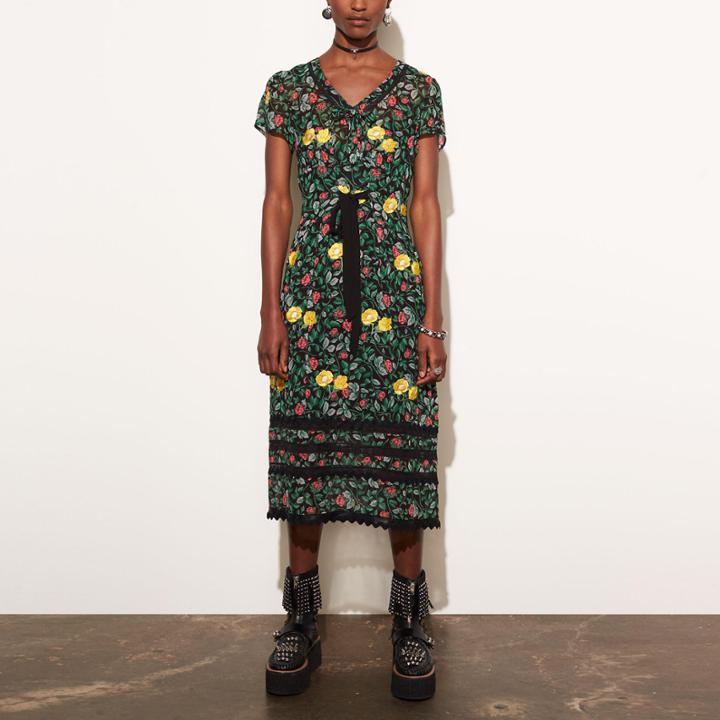 Coach Sheer Dress With Lace
