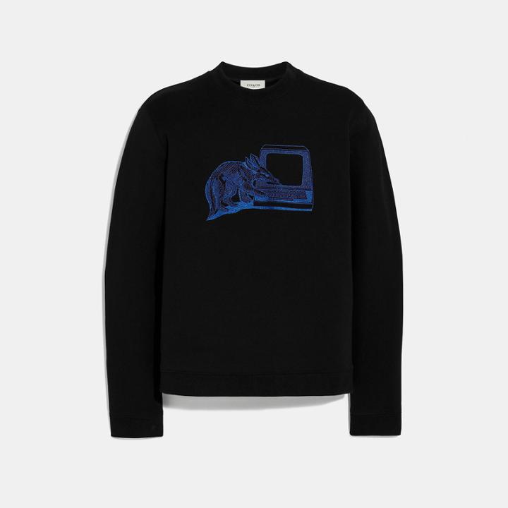 Coach Printed Sweatshirt