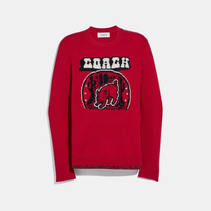 Coach Lunar New Year Sweater