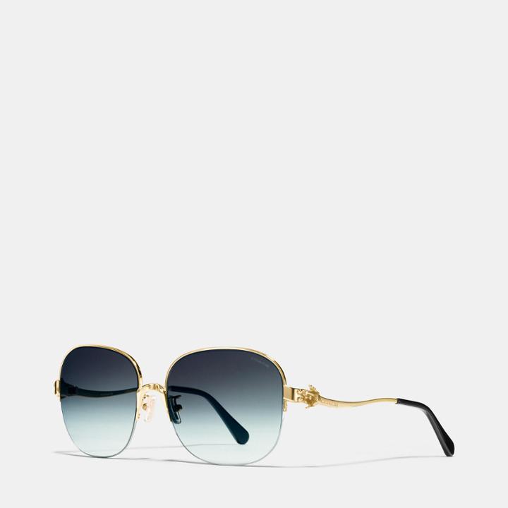 Coach Tea Rose Square Sunglasses