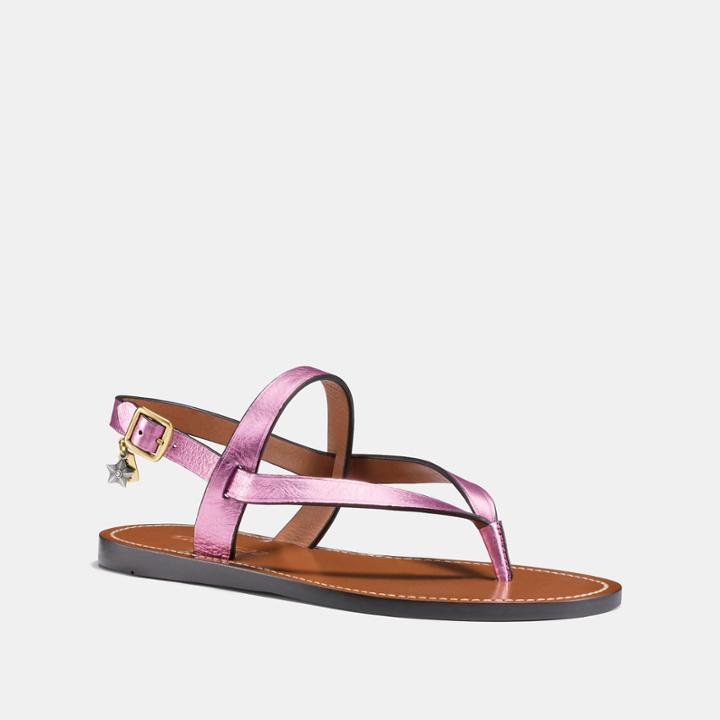 Coach Hudson Sandal