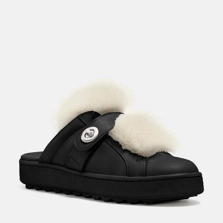 Coach Lo Top Slide Sneaker