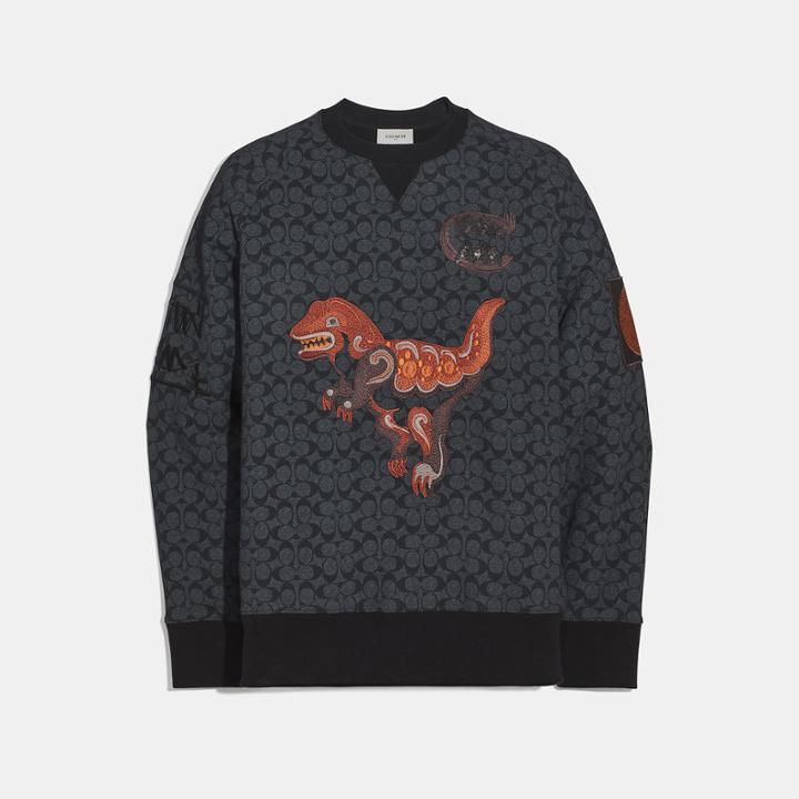 Coach Rexy By Creative Artists Crewneck Sweatshirt