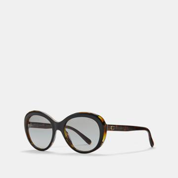 Coach Beveled Edge Oval Sunglasses